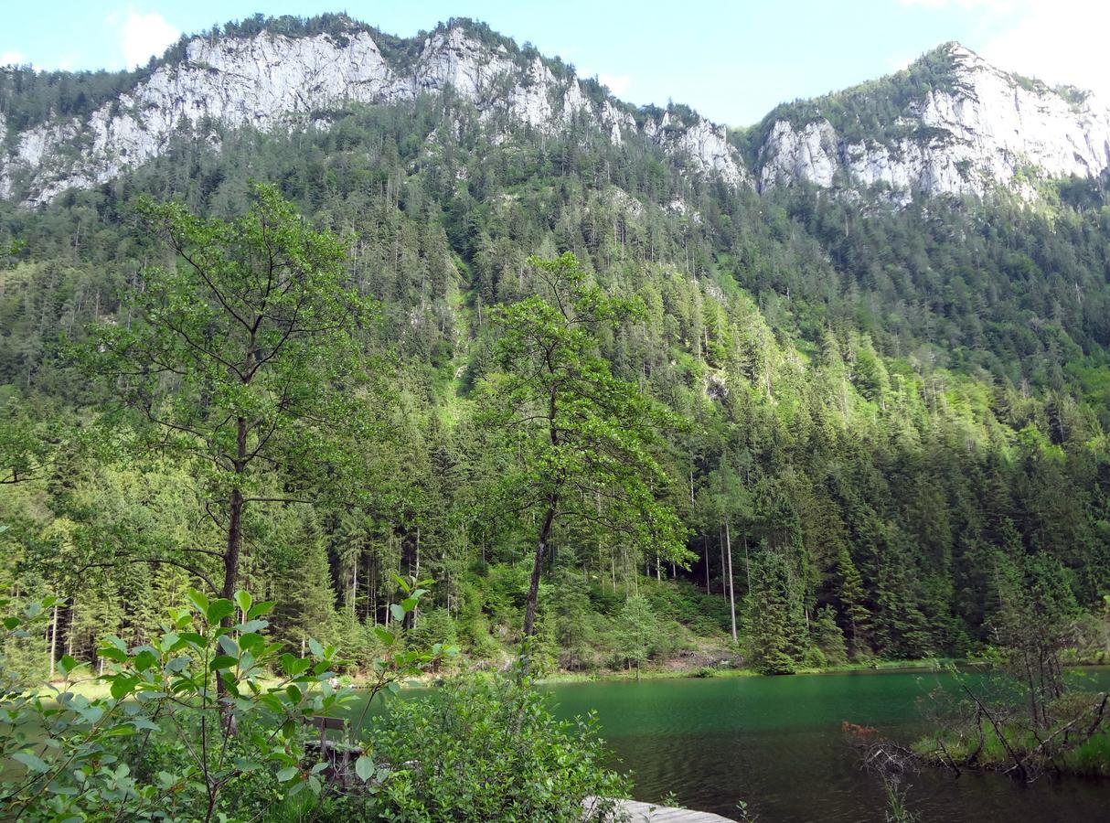 Alpenhotel Gastager Inzell Εξωτερικό φωτογραφία