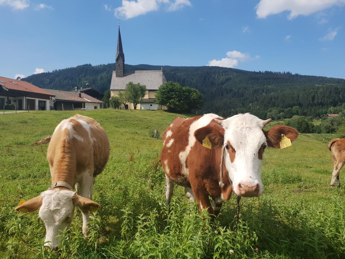 Alpenhotel Gastager Inzell Εξωτερικό φωτογραφία
